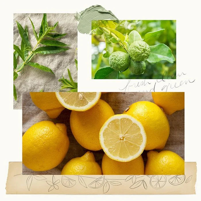 Thymes Fragrance Lemon Leaf Countertop Spray 