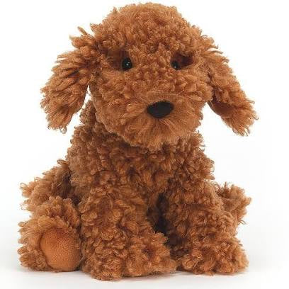 Cooper Labradoodle Pup