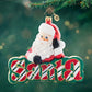 Christopher Radko What's in a Name Santa 
