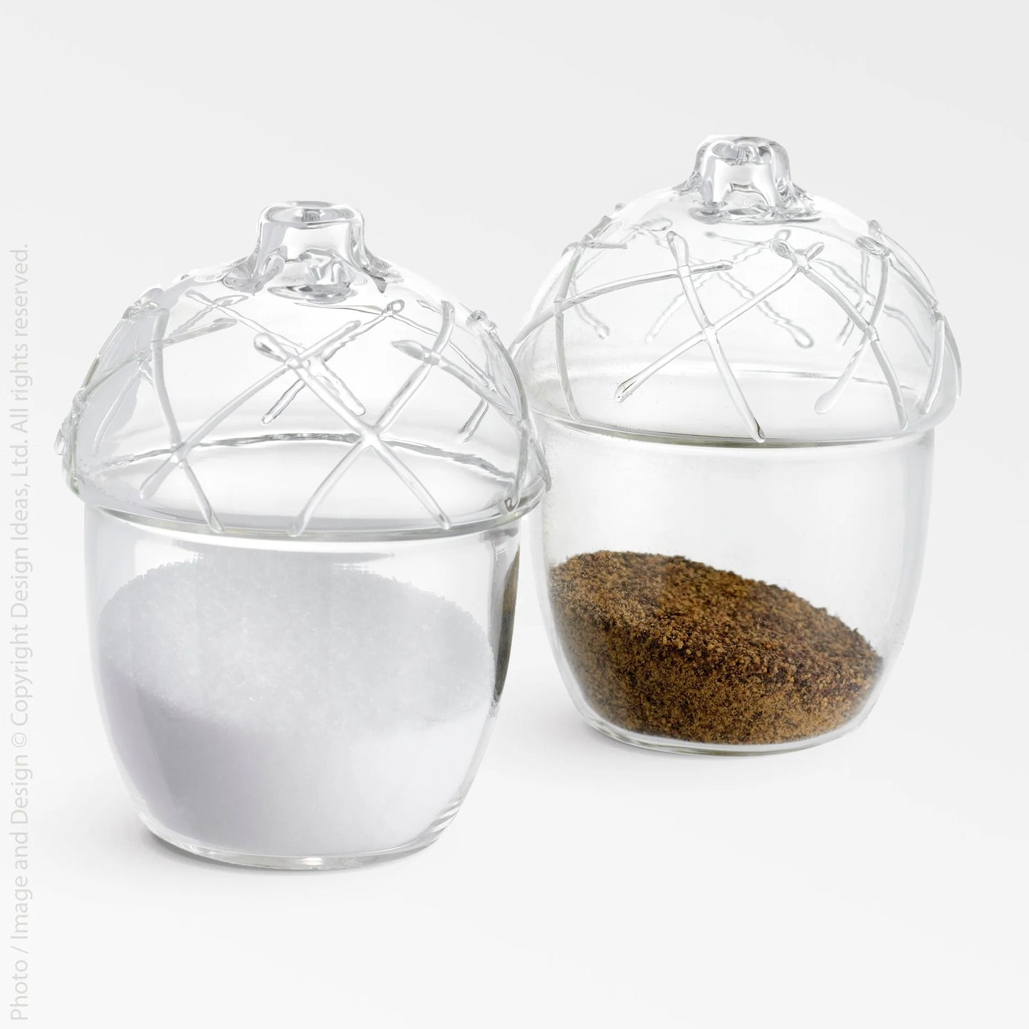 Design Ideas Texxture Acorn Nutty clear glass Salt and Pepper Shakers 