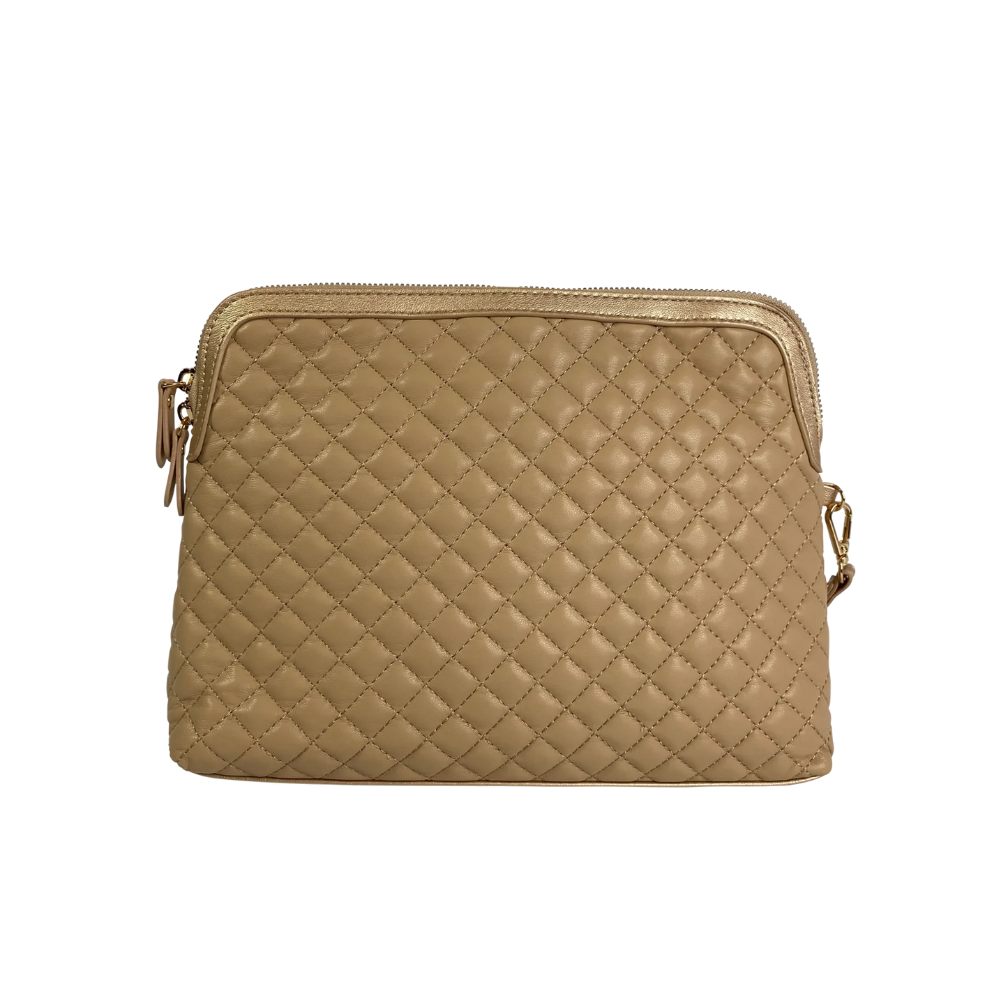 Gold Luster Carryall Pouch