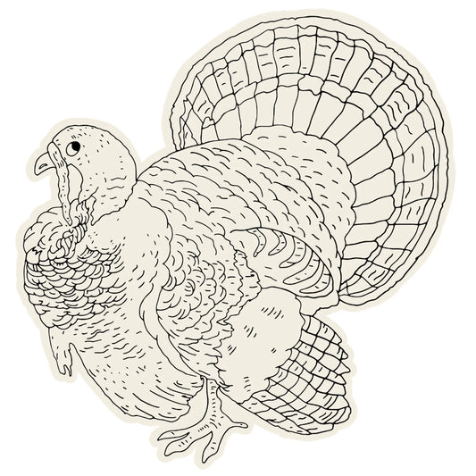Hester & Cook Die-Cut Turkey Coloring Placemat 