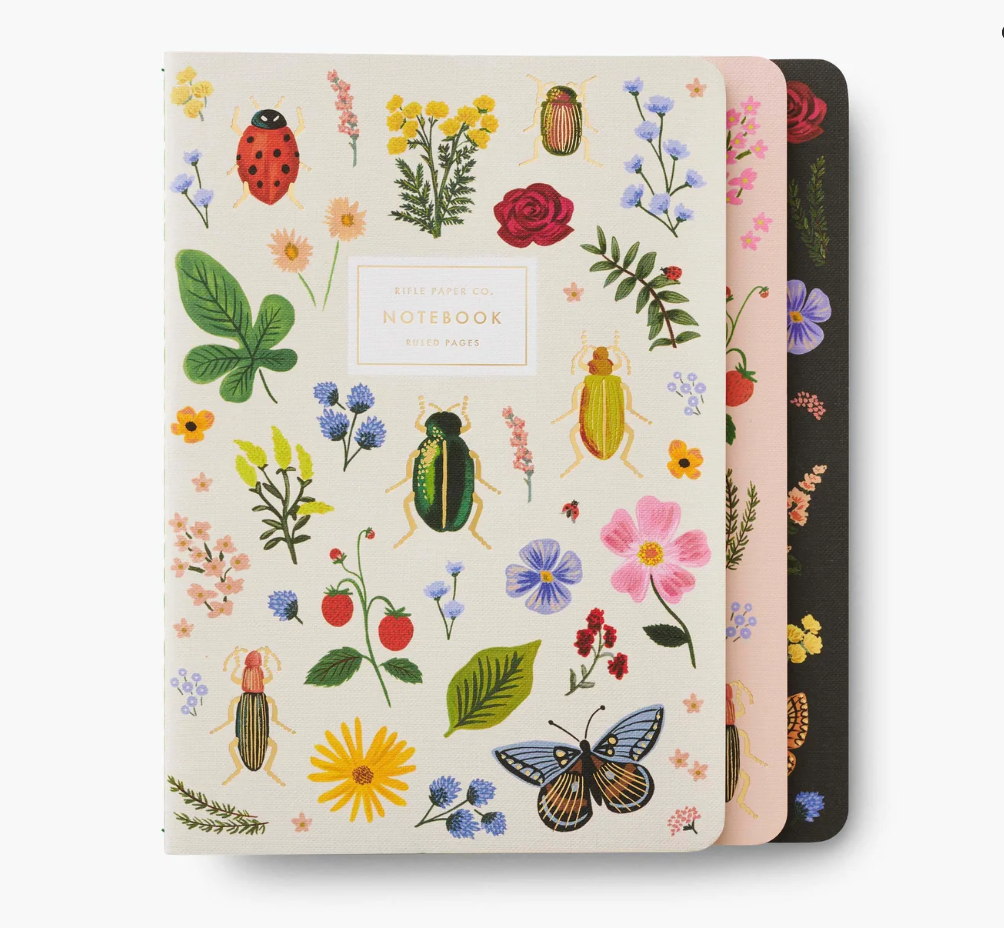 Curio Notebooks Assorted Set of 3