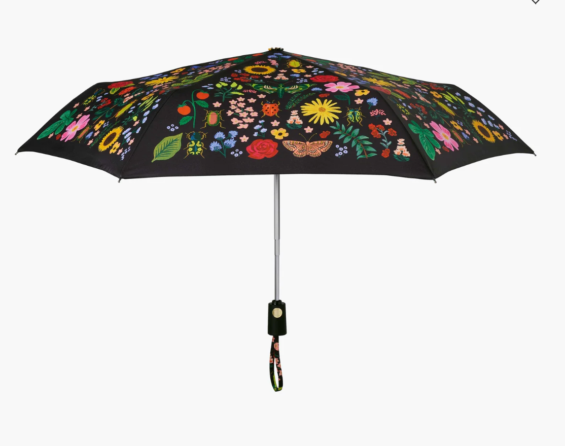 Curio Umbrella