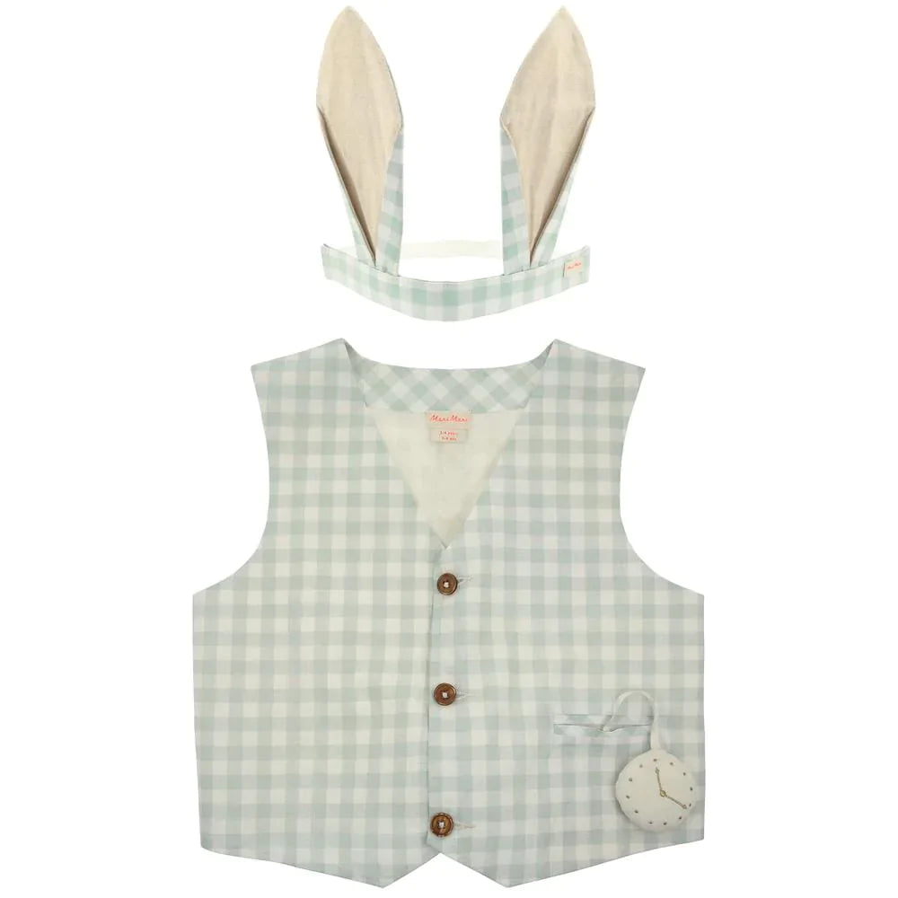 Gingham Bunny Suit