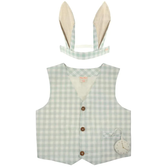 Gingham Bunny Suit