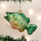 Old World Christmas Largemouth Bass green fish glass ornament 