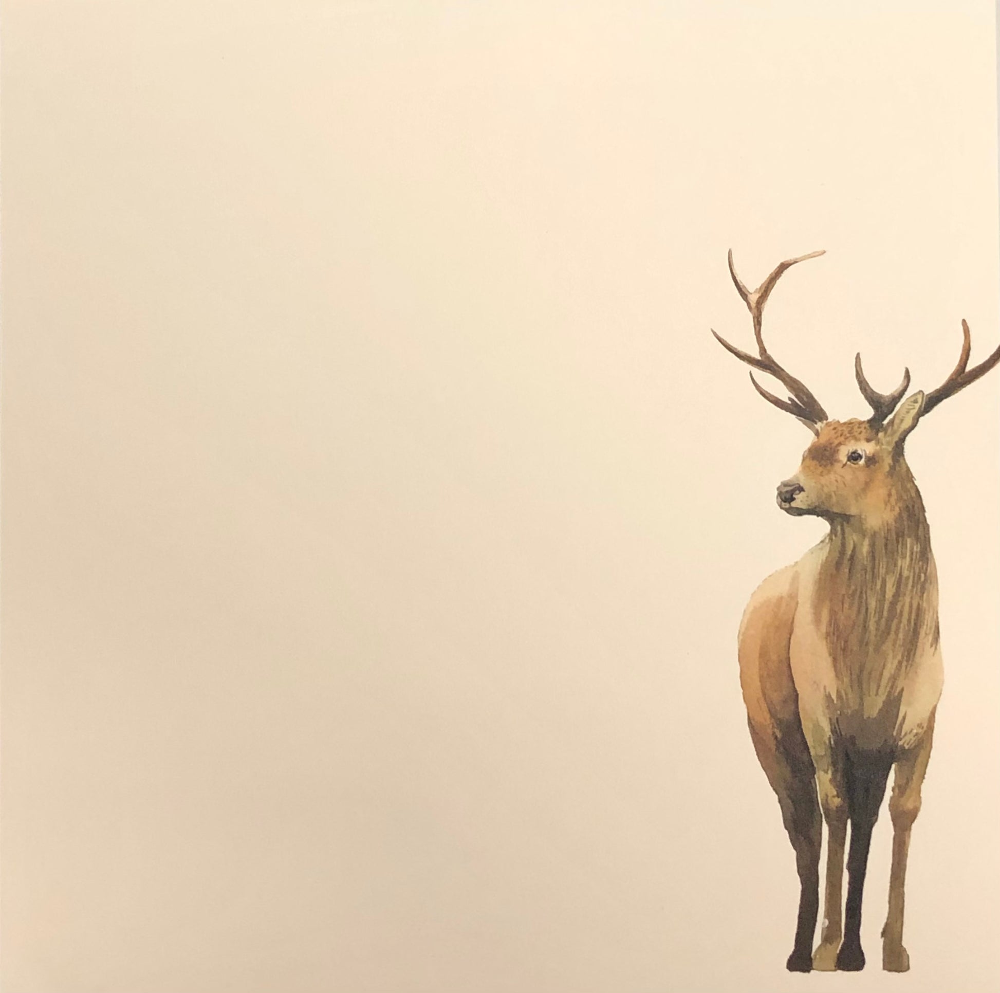maison de papier cream paper notepad with red stag deer art
