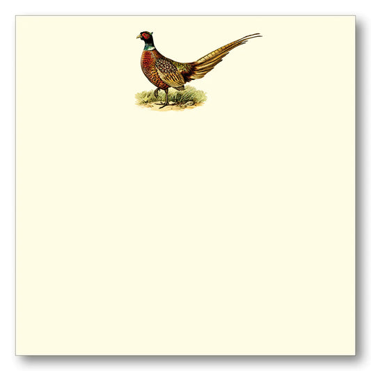 maison de papier cream notepad with pheasant bird art in color