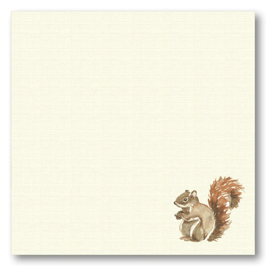 maison de papier square cream notepad  with watercolor squirrel 