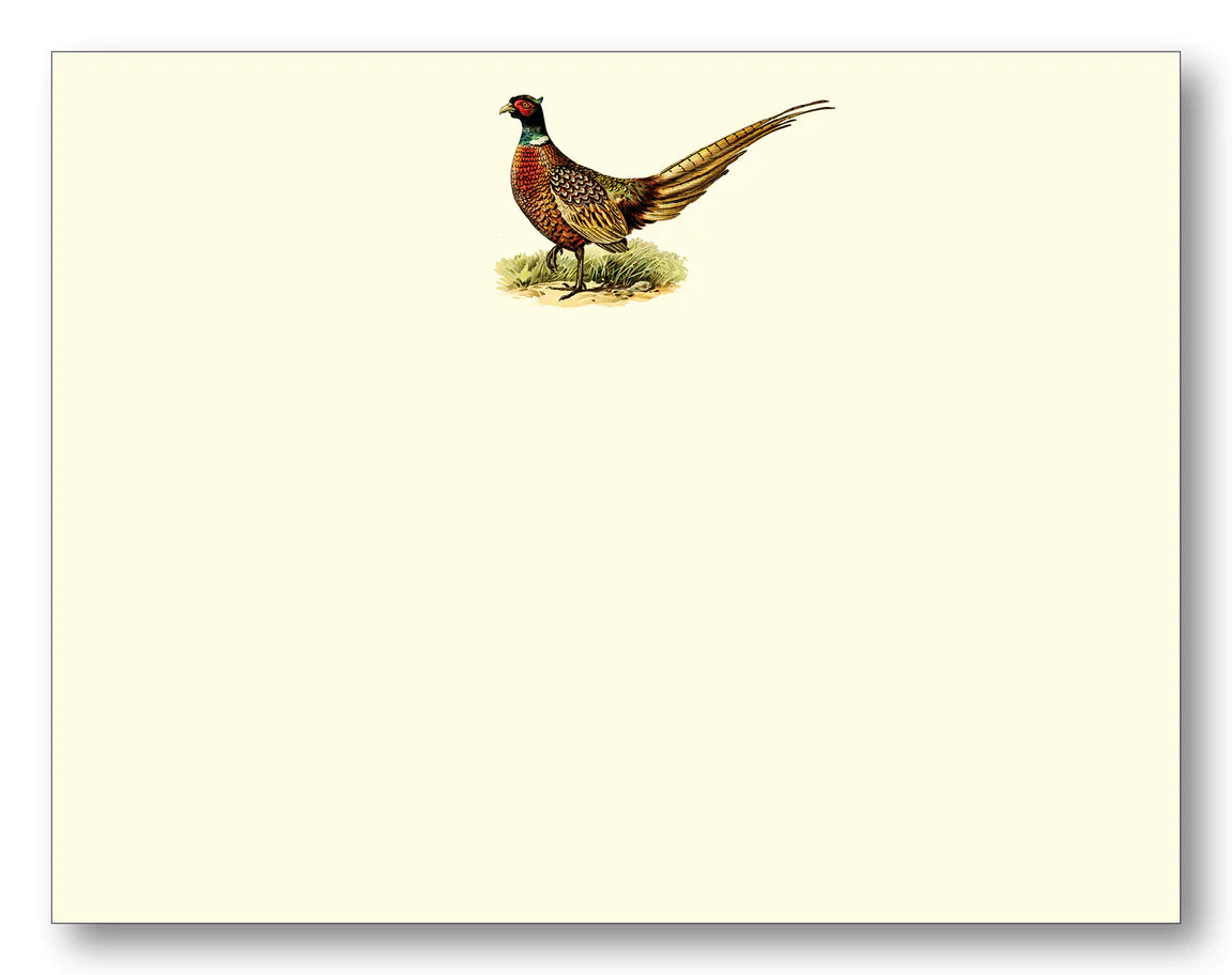 maison de papier cream notecards with full color pheasant bird art 